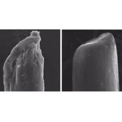 Olaplex No.4 Bond Maintenance Shampoo 250ml -Cosmetics Store 12164501 7434769697383487