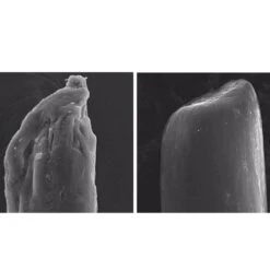 Olaplex No.5 Bond Maintenance Conditioner 250ml 9 Olaplex No.5 Bond Maintenance Conditioner 250ml -Cosmetics Store 12164549 1484769697660231