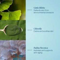 Elemis Pro-Collagen Marine Cream SPF 30 16 Elemis Pro-Collagen Marine Cream SPF 30 -Cosmetics Store 3 marinecreamspf ingredients 2000x2000 8b1c6ed1 1911 4868 a569 f85a84ccddba