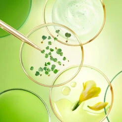 NUXE Nuxuriance Ultra The Global Anti-Aging Night Cream 50ml -Cosmetics Store 3264680034480 VN063901 THE GLOBAL ANTI AGING NIGHT CREAM 50ML INGREDIENTS 2000X2000 33f1f99e c316 49d0 bf11 3b2ed25da6f7